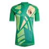 Maillot de Gardien Belgique Euro 2024 Verte Pour Homme